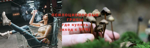 марки nbome Арсеньев