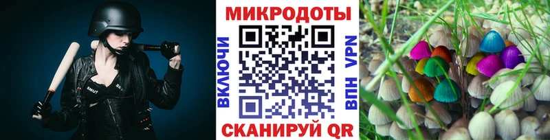 Галлюциногенные грибы Psilocybine cubensis  ОМГ ОМГ tor  Тавда 